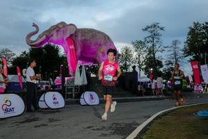 BIB: 
                            <button type="button" onclick="openModal(26529494)" class="btn btn-primary btn-sm float-right btn-popup" data-toggle="modal" data-target=".modal-high-quality">
                        <i class="fas fa-shopping-cart"></i> Add to Cart
                    </button>
                                            <button type="button" onclick="isThisMe(26529494, true)" class="btn btn-success btn-sm float-right btn-popup btn-isme hidden" data-toggle="tooltip" data-placement="bottom" title="นี่คือรูปของคุณใช่ไหม คลิกที่นี่เพื่อเอาเข้าอัลบั้ม">
                        <i class="fas fa-plus"></i> Add to album
                    </button>
                    <button type="button" onclick="isThisMe(26529494, false)" class="btn btn-warning btn-sm float-right btn-popup btn-isnotme hidden">
                        <i class="fas fa-ban"></i> Remove from album
                    </button>